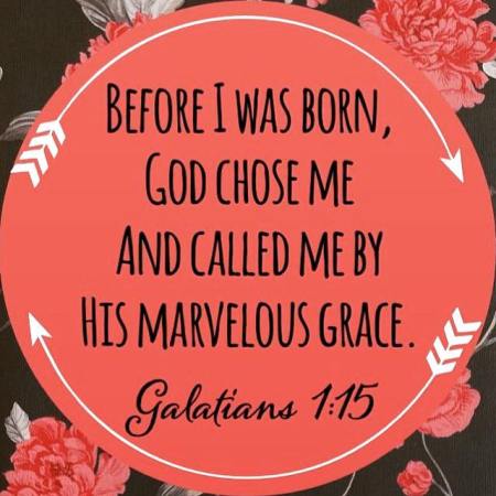 11092654_10101416858217074_560914874_n